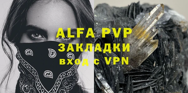 молекула духа Грязовец