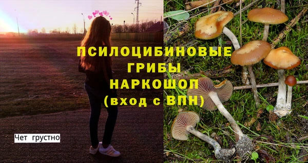 ешки Остров