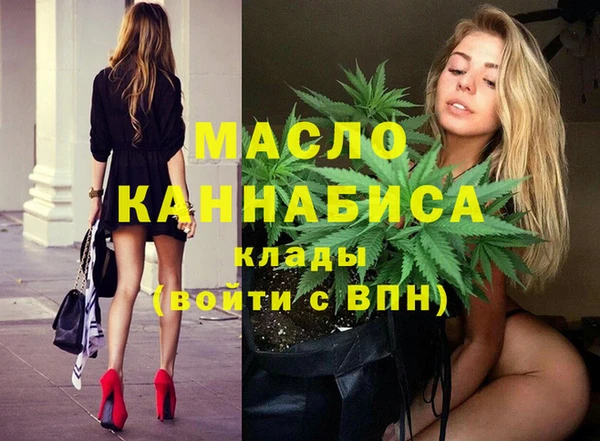 молекула духа Грязовец