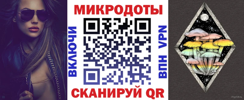 что такое   Северобайкальск  Псилоцибиновые грибы прущие грибы 