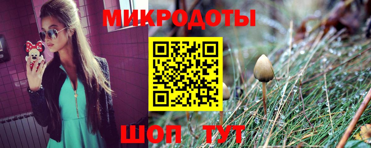 Псилоцибиновые грибы прущие грибы  Вход с VPN  Северобайкальск 