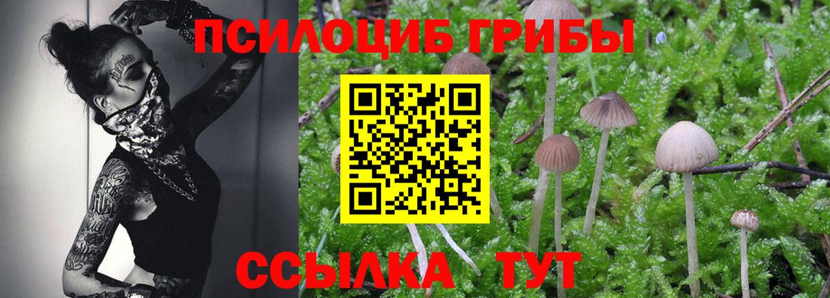 Галлюциногенные грибы MAGIC MUSHROOMS Северобайкальск